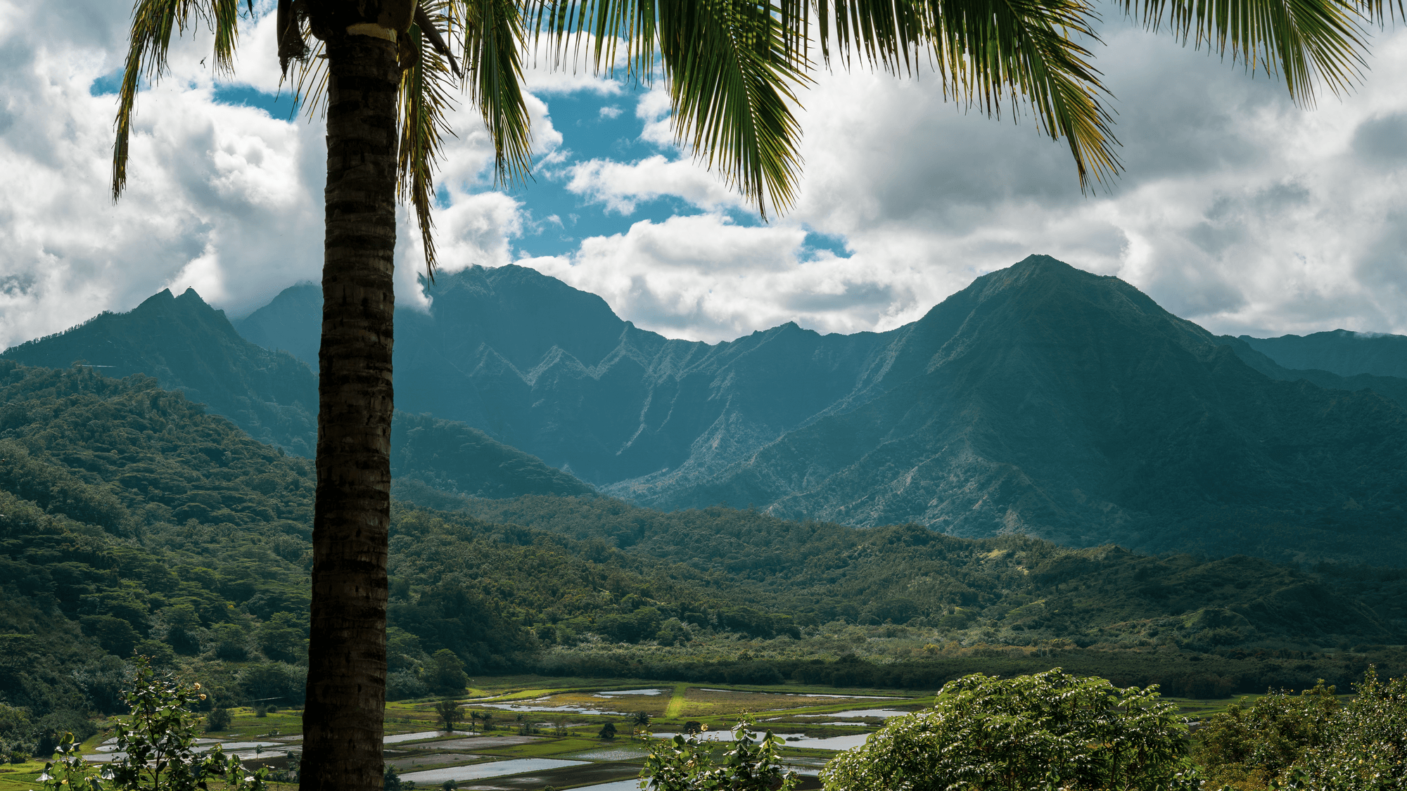 Behind the scenes — Kauaʻi & Oʻahu