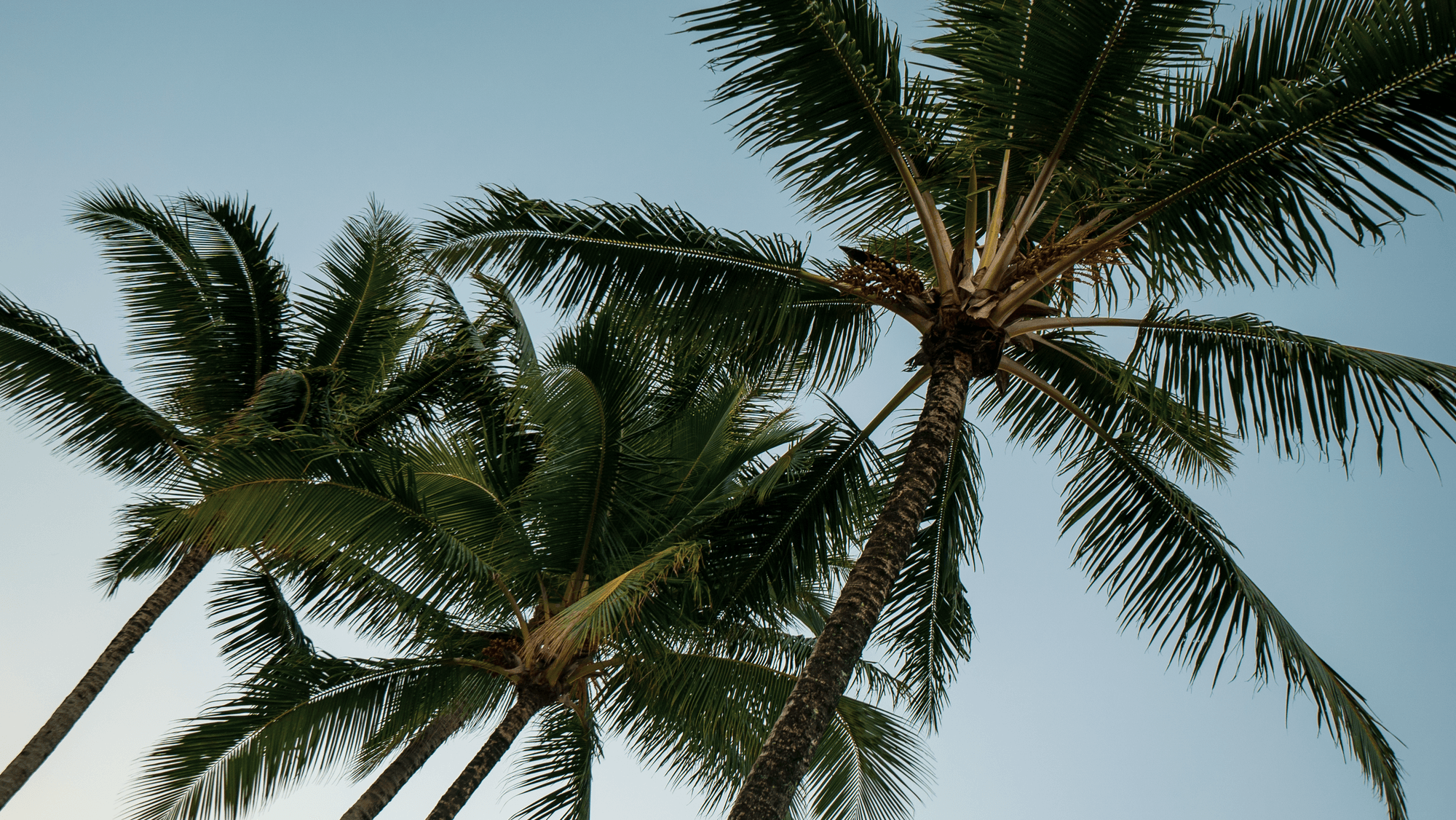 Behind the scenes — Kauaʻi & Oʻahu
